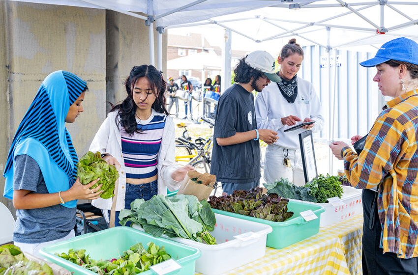  Your Outdoor Farmers Market Awaits