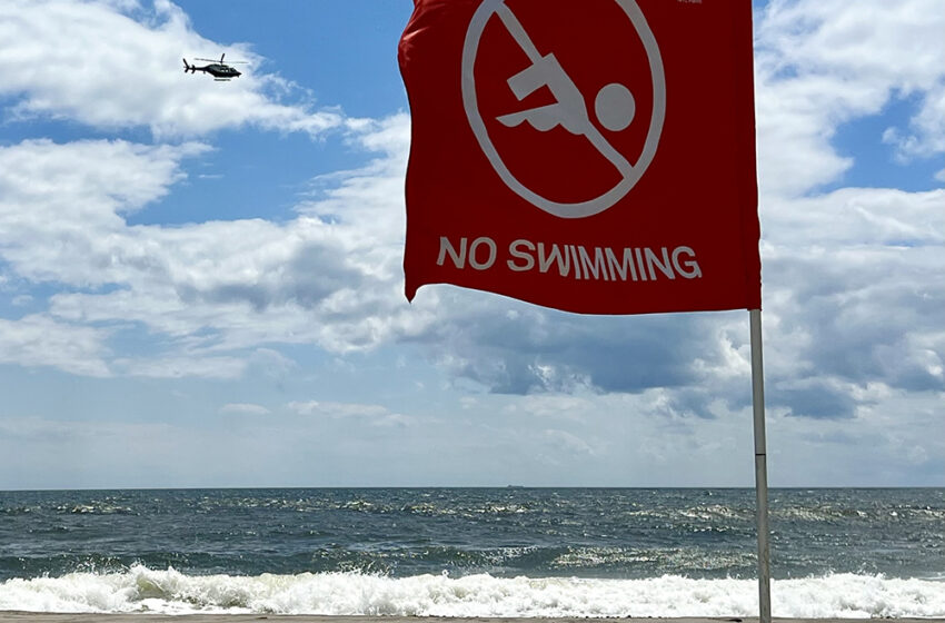  Rockaway Sees First  Shark Attack in 70 Years