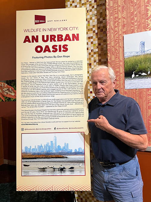 Go Green: The Wonder and Beauty of Trees – THE ROCKAWAY TIMES