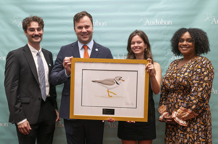  NYC Plover Project Receives Award