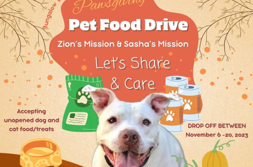  Zion’s & Sasha’s Mission Launch  Pet Food Drive