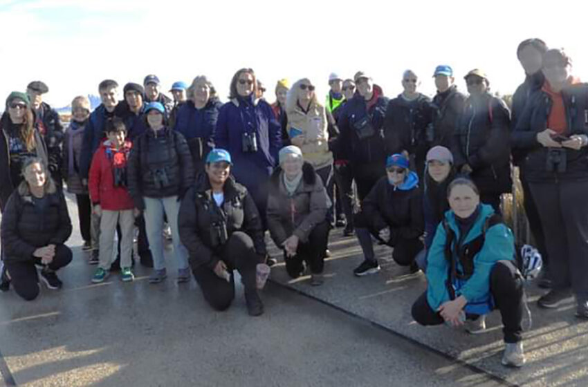  NYC Plover Project and RISE Host a Winter Beach Bird Walk