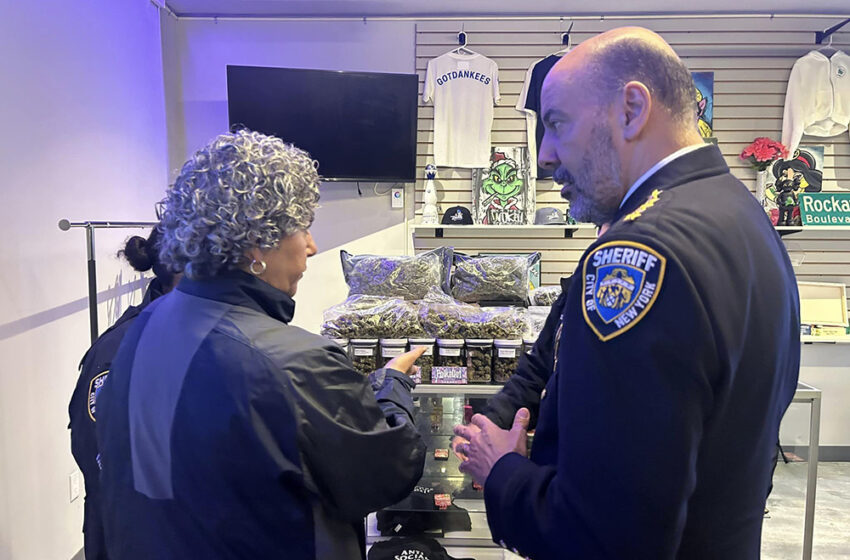  Pheffer Amato & NYC Sheriff Bust 3  Illegal Marijuana Shops