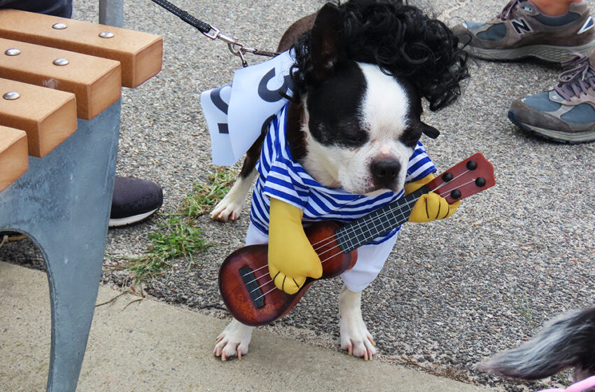  Rockaway’s 4th Annual Dog Parade