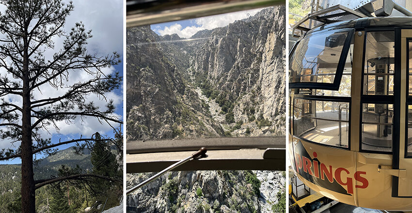  Travels With Bob