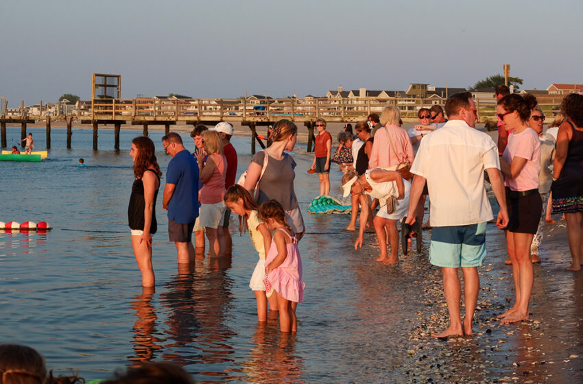  Finding a Blessing in the Bay