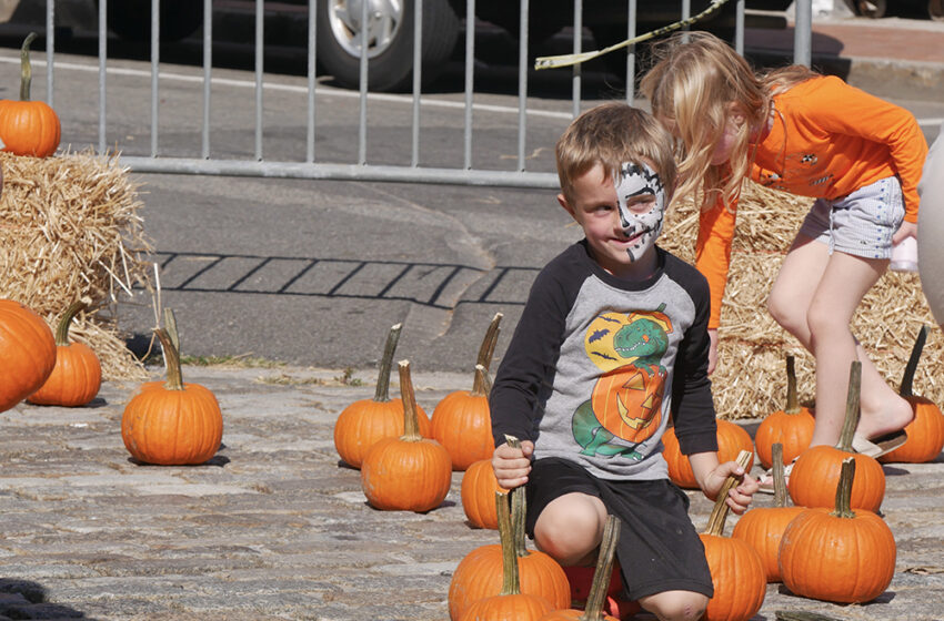 Fun and Sun for the Beach 116th Fall Fest