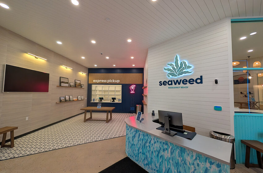  Seaweed to Open in Arverne on December 15
