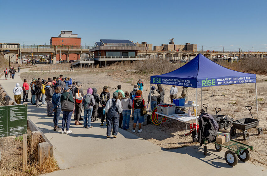  Rockaway Comes Together for Dune Native Planting